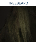 The Treebeard